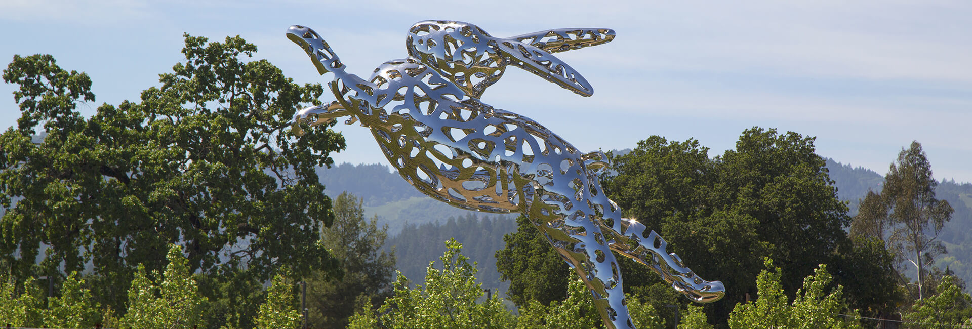 Airport Transportation